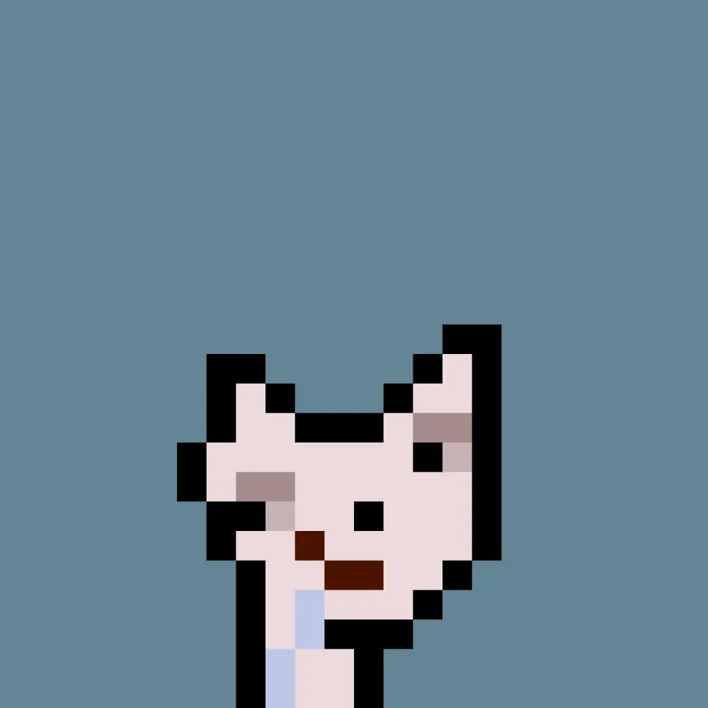 PNUKS #8828