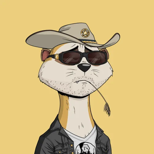 Worried Meerkat #1141