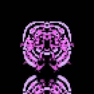 INVADER #325