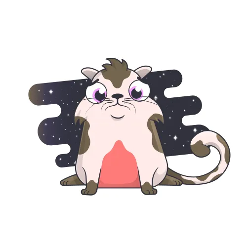 Bacio Beautylump #1125655