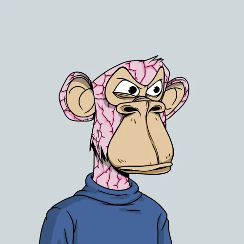 681