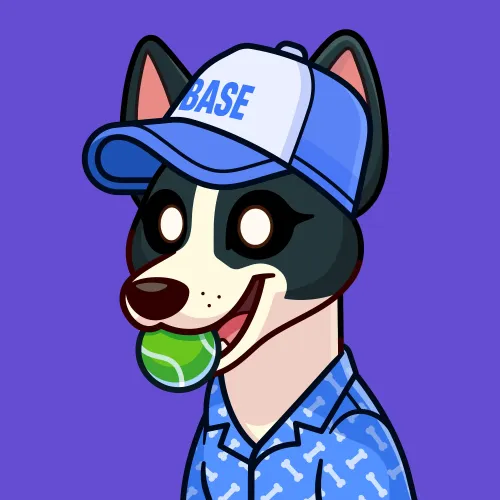 Basenji #885