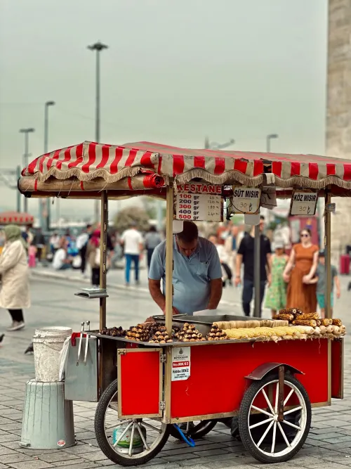 Traditional Turkish Chestnut Seller #6