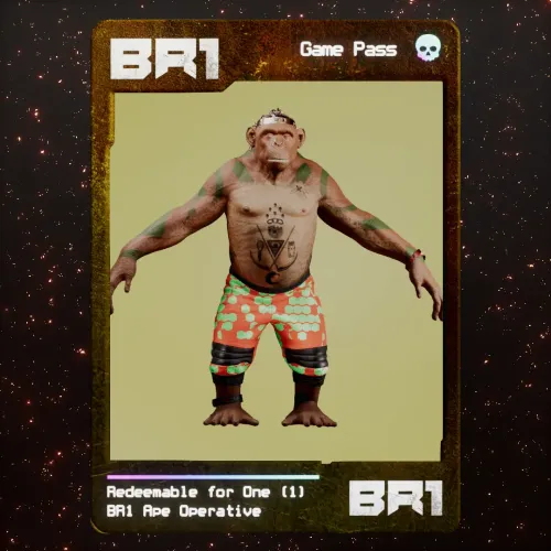 BR1 Character #707