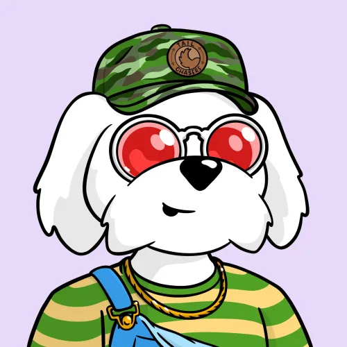 BoDoggos #8335