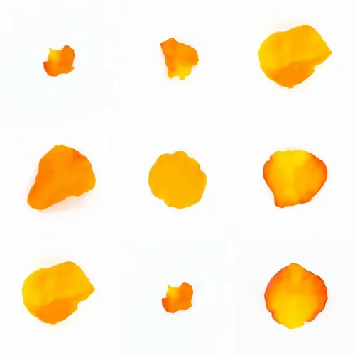 Infinite Petals 3x3#859