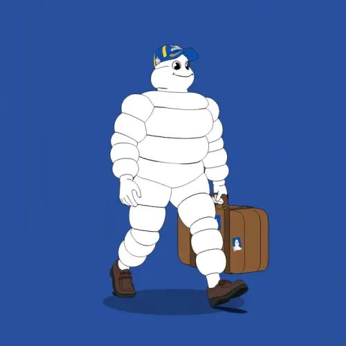 Michelin 3xplorer #719