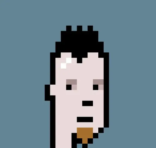 Cryptopunk 6501