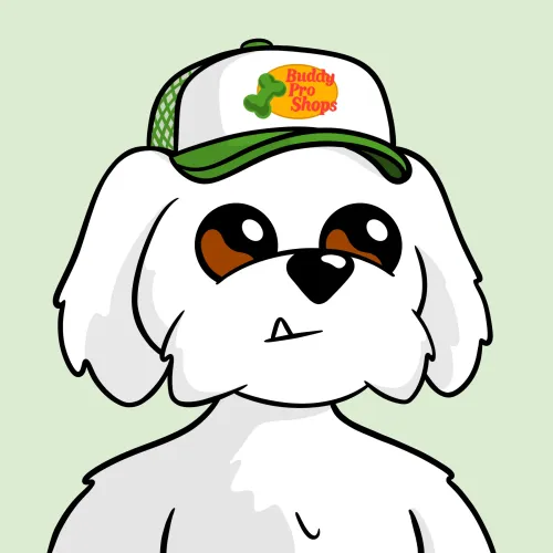 BoDoggos #2687