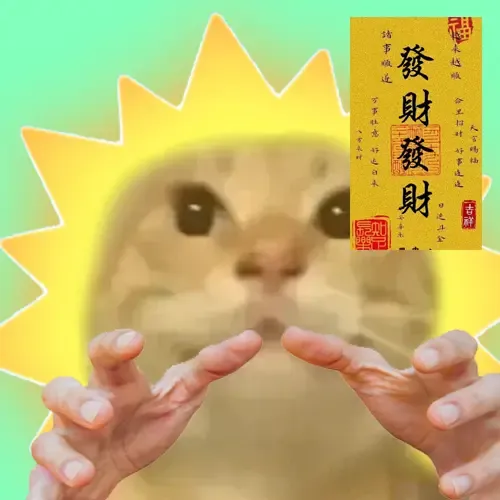 maodie the cat #1576