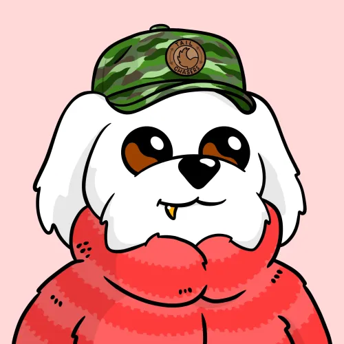 BoDoggos #7091