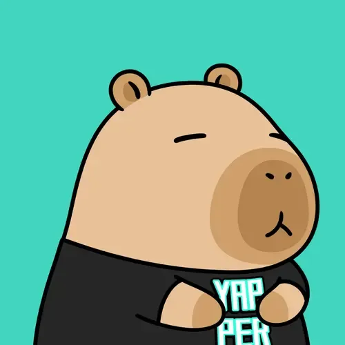 Yapybara #988
