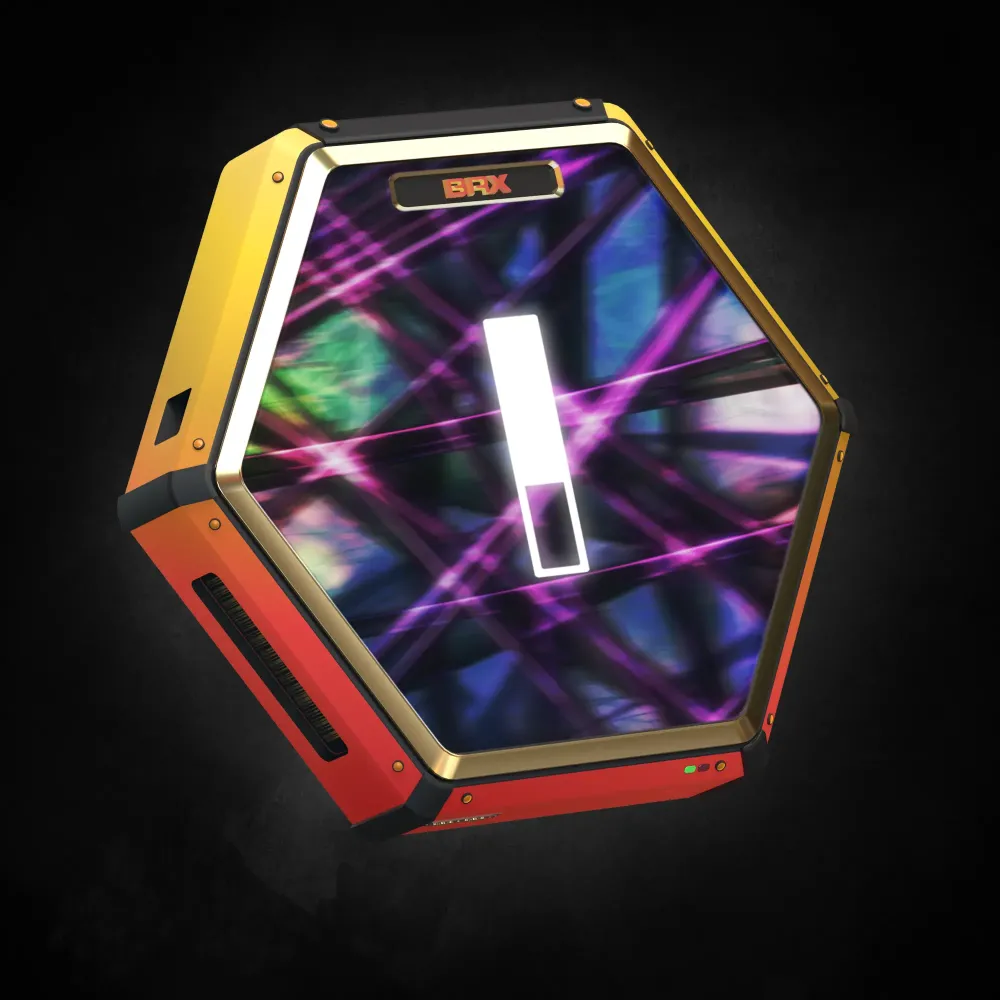 DEX #3019