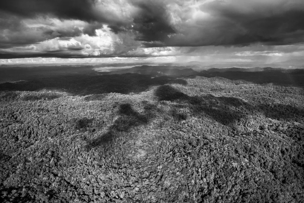 Amazonia - Sebastiao Salgado #3493
