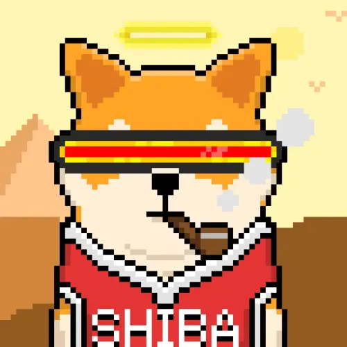 Saint SHIBA of INU #338