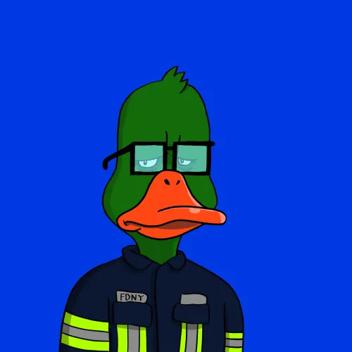 Duck #4237