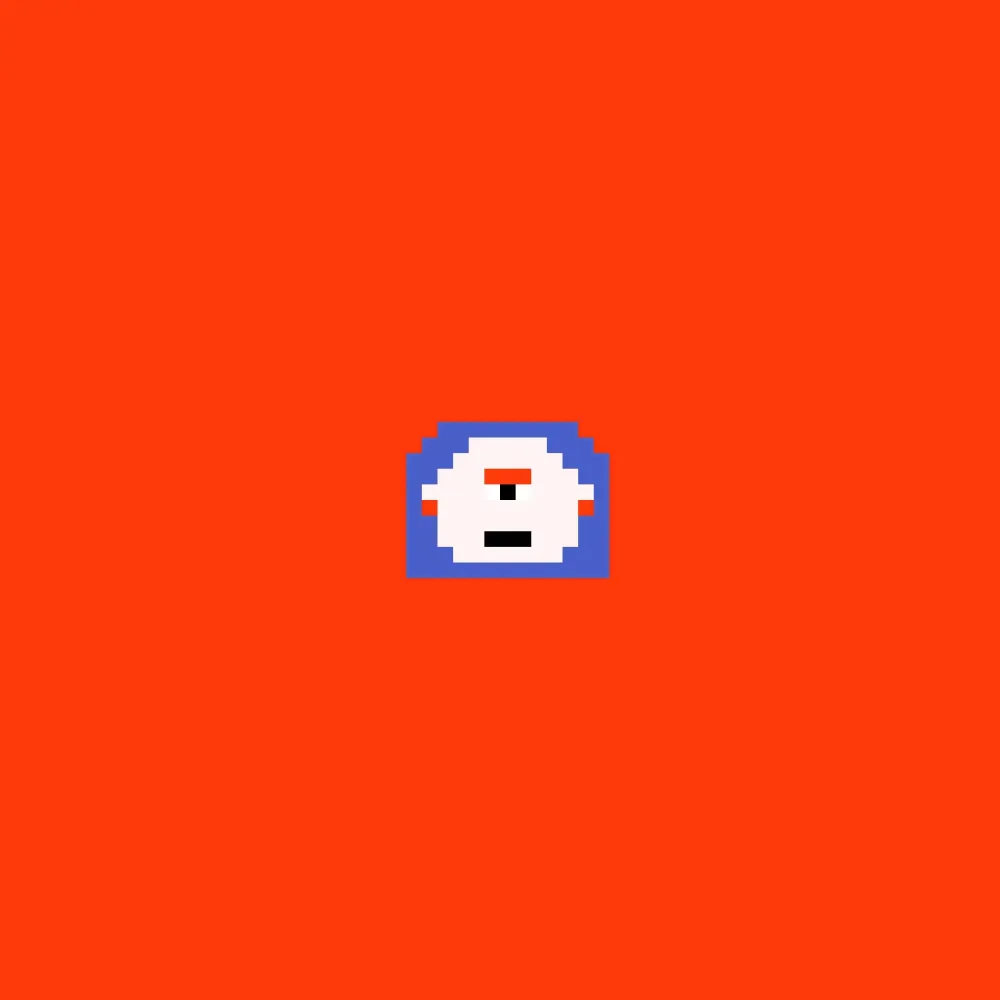 Miniz 555 #555