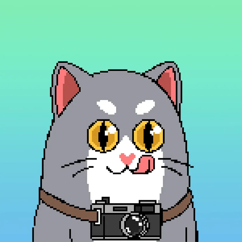 Liberty Cats