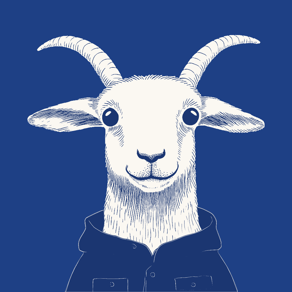 Zoolini - Goat #5902
