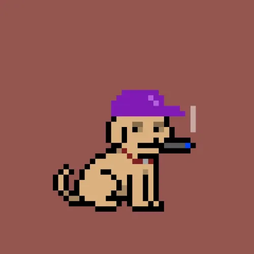 PUPZ #537
