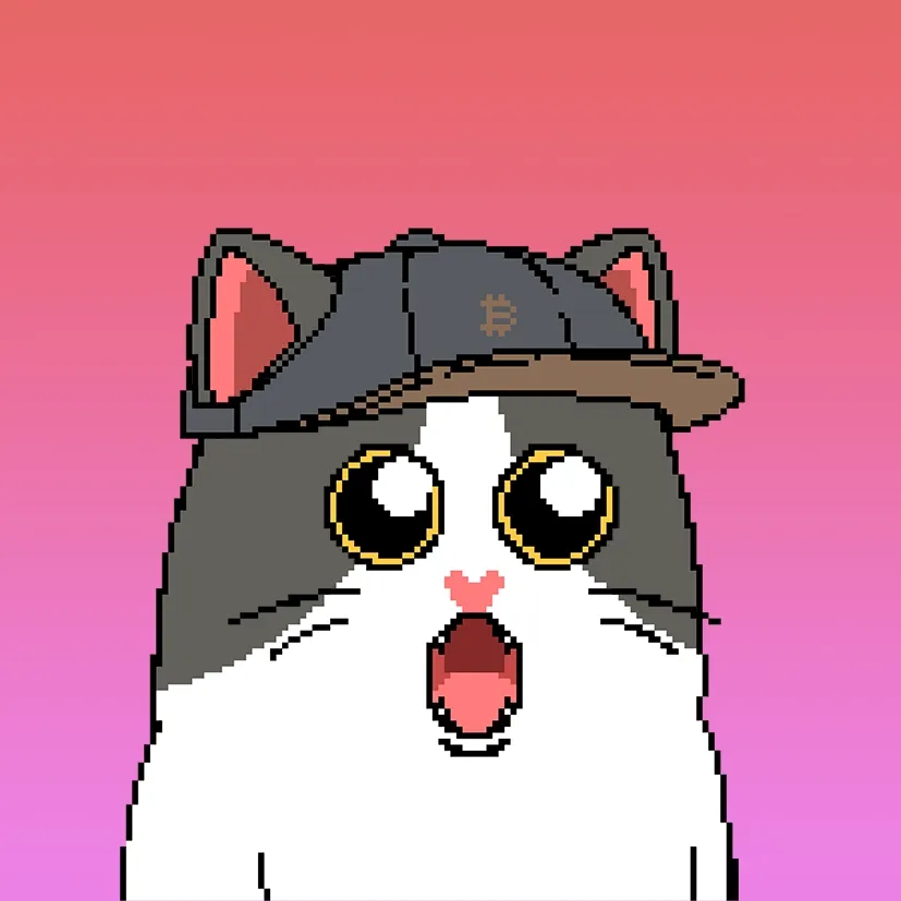 Liberty Cats