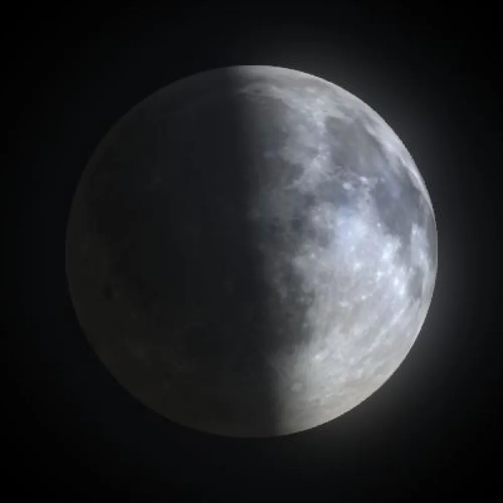 First Quarter (#93319085)