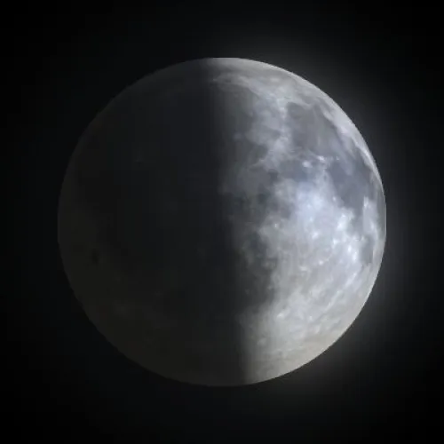 First Quarter (#93319085)