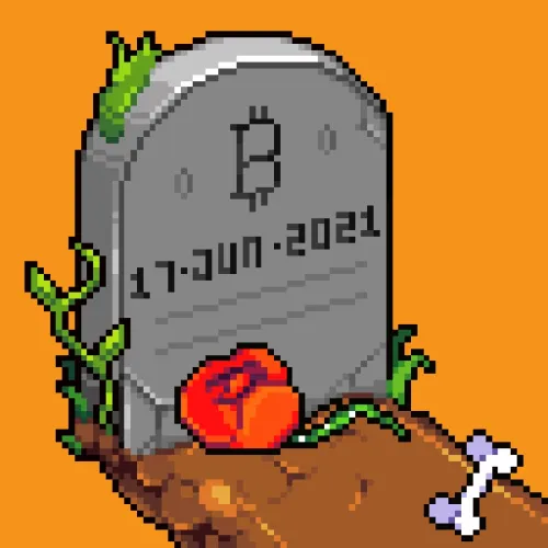 Bitcoin Burial ＃2399 （Inscription ＃9518276）