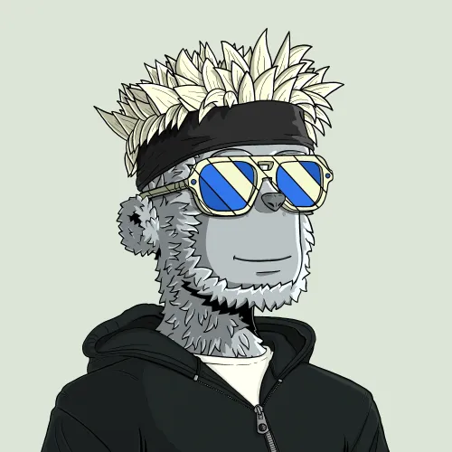y00t #13672