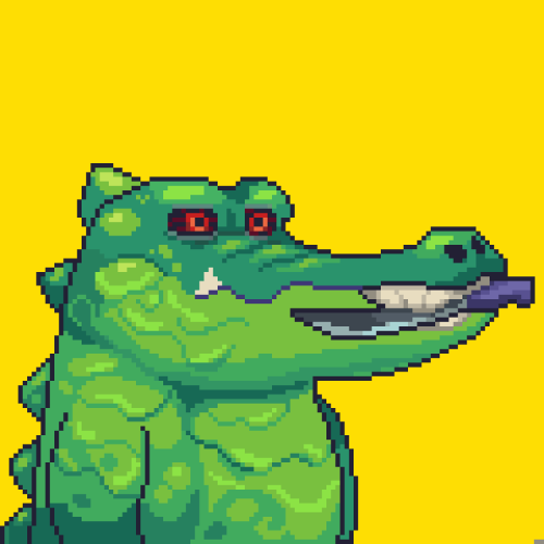 Croc #2593