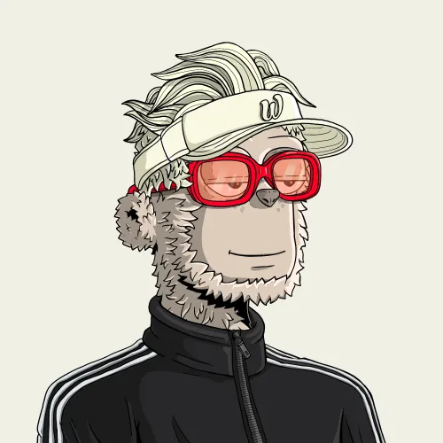 y00t #3972