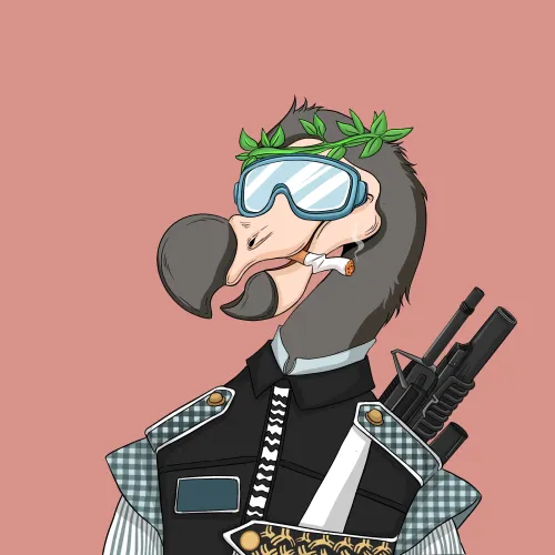 DoDo #4311