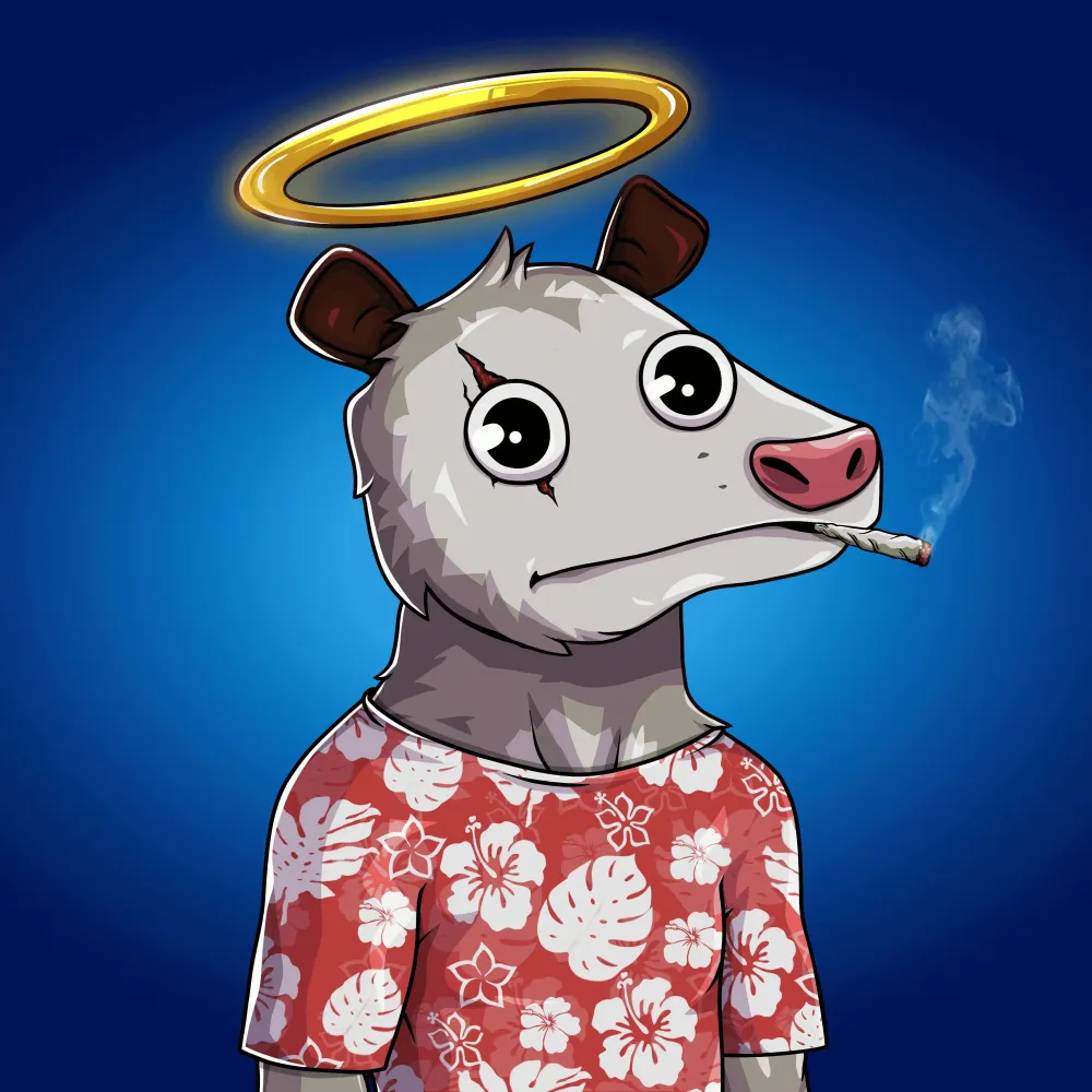 WTF Opossum #298