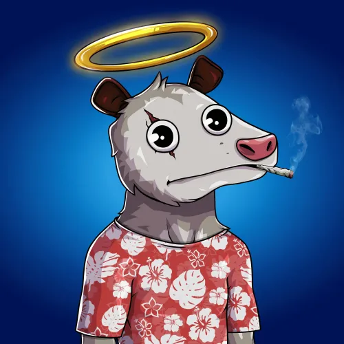 WTF Opossum #298