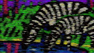 = zebra = #9