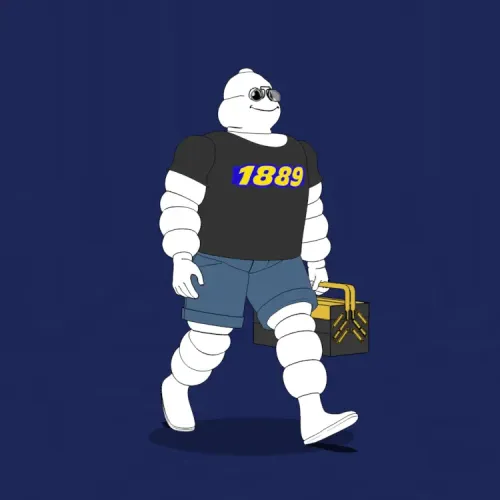 Michelin 3xplorer #334