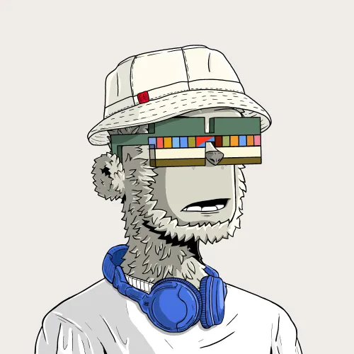 y00t #502