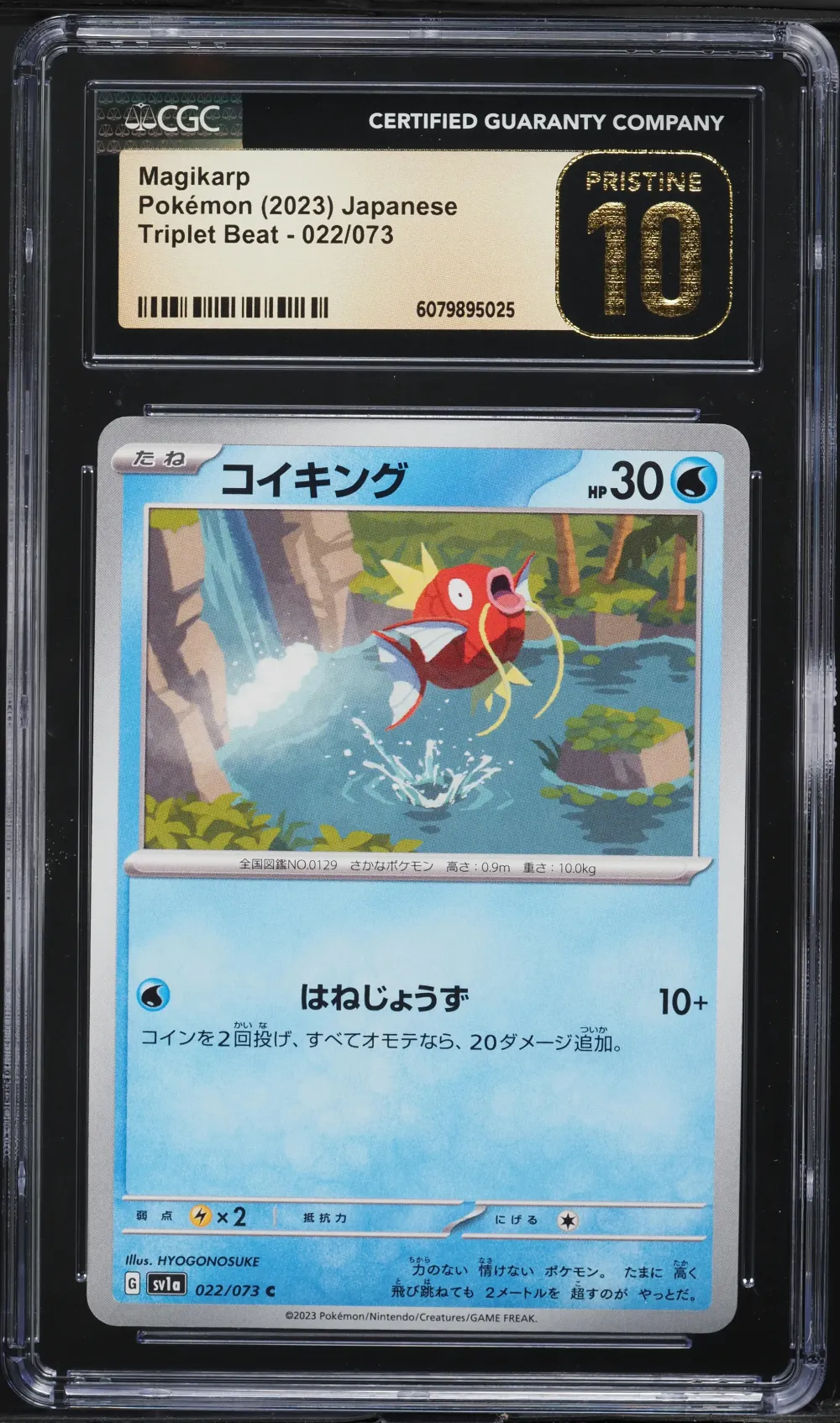 2023 #022 Magikarp CGC 10 Pristi