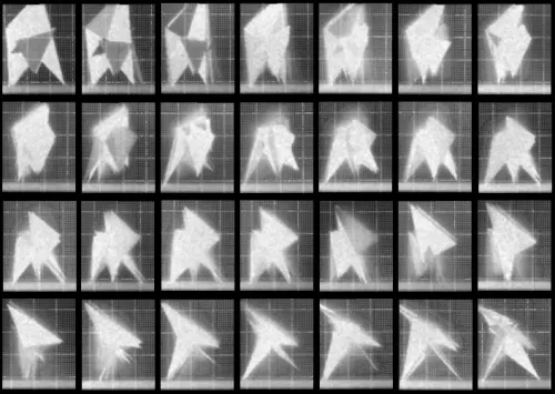 Chronophotograph 69 #69