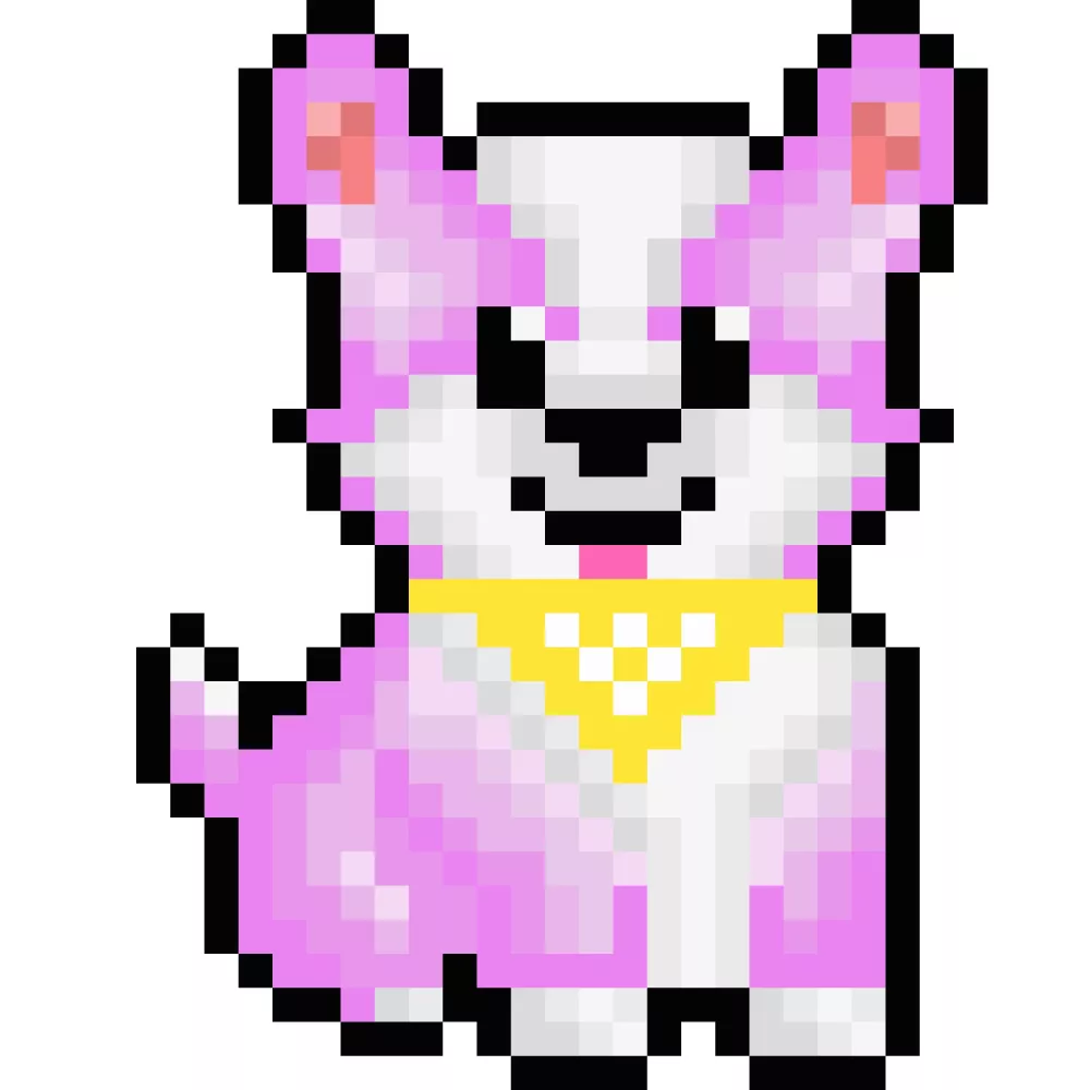 CorgifromBlock #13019822