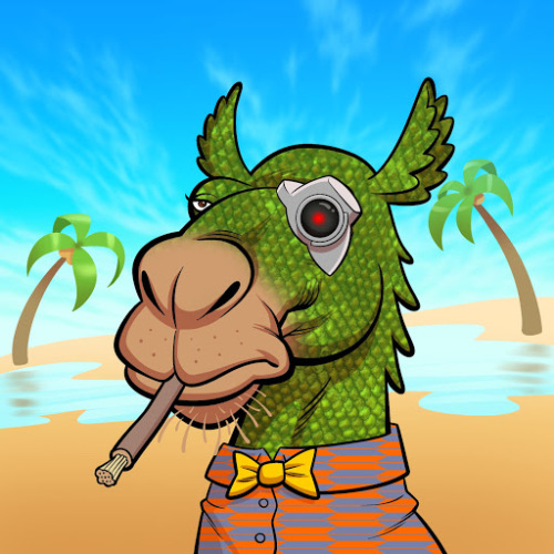 ArabianCamel #1411