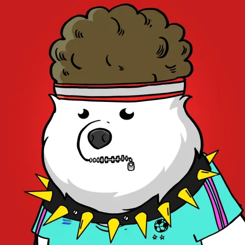 Samoyed #202