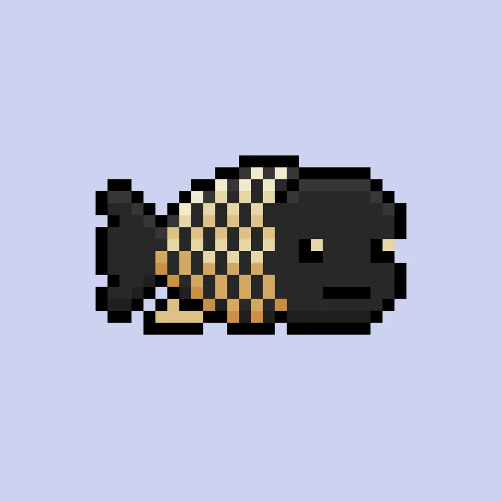 CryptoFish #904