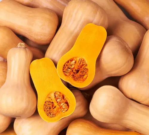 Butternut squash #30