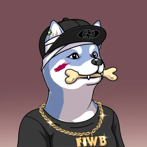 SOLDOGE #41