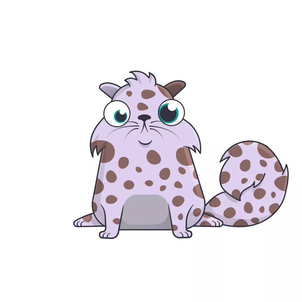 R1-Nacho/Pumpkin/Aprico #578225