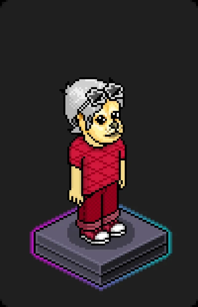 Habbo Crafted Avatar #2065