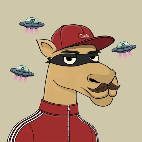 Camel #6117