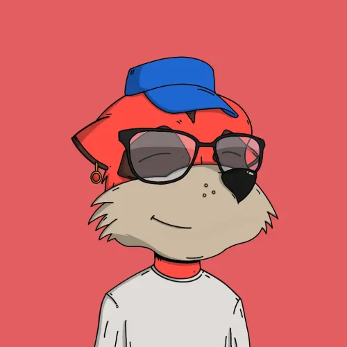 Meerkat #2478