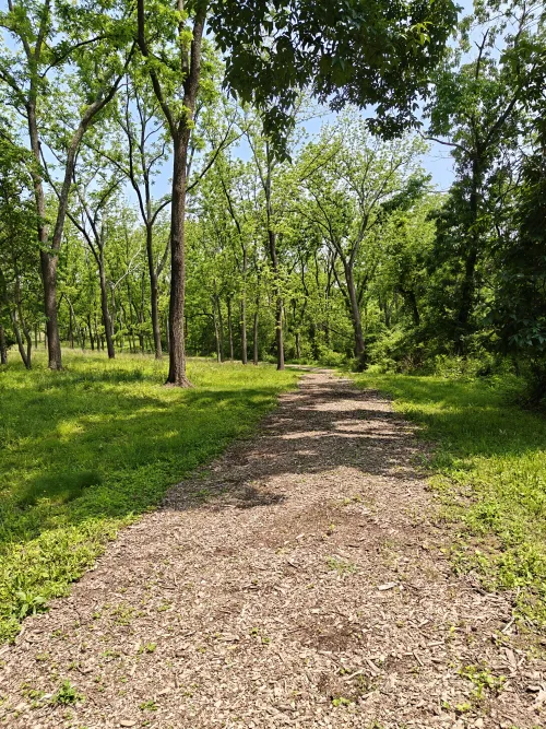 The Path #16